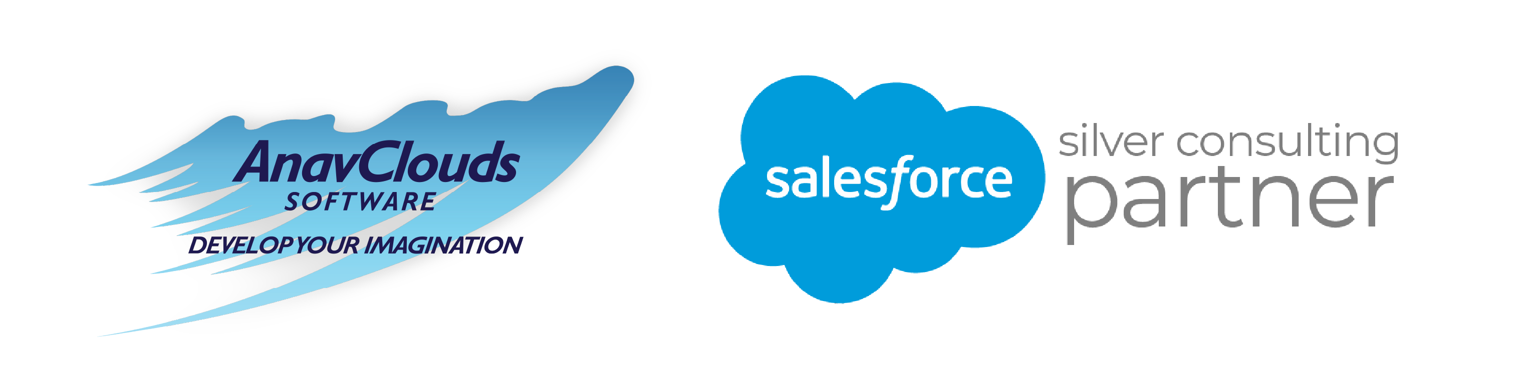 AnavClouds Salesforce Silver Partner Logo